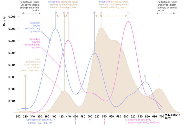 Graph of marker point frequencies across wavelength for backgrounds, bird and insect pollinated flowers.