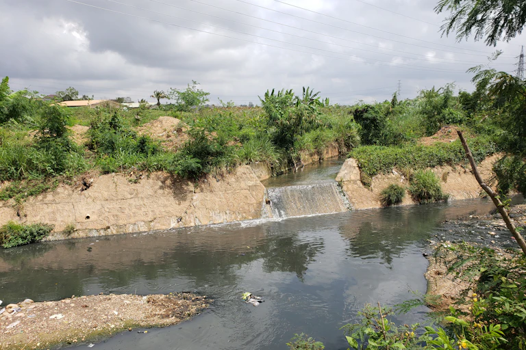 Water body filled with rubbish