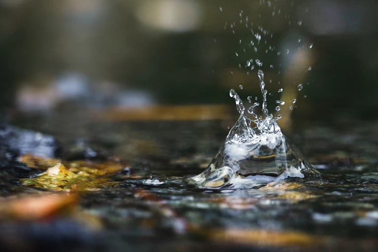 A raindrop splashing onto leaf-covered pavement, with tiny drops of water splashing into the air.