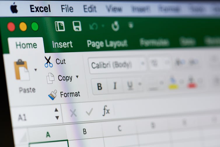 A close up of Microsoft Excel spreadsheet.