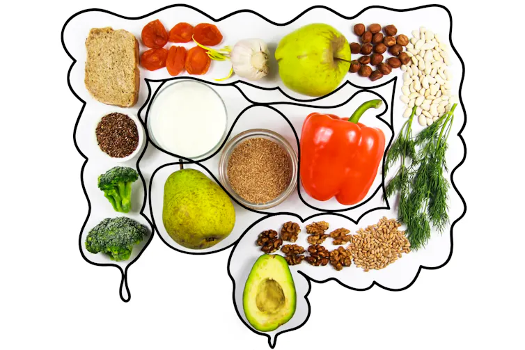High-fibre foods against the outline of intestines