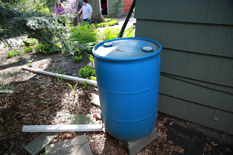 People work in a garden with a rain barrel in front of them.