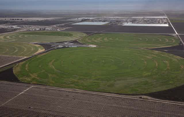 An aerial view of green crop circles surrounded by dark brown earth
