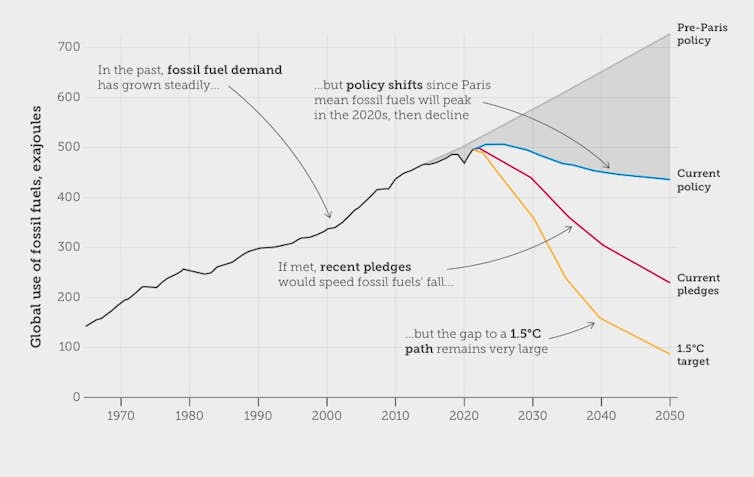 'It’s not game over – it’s game on': why 2024 is an inflection point for the climate crisis