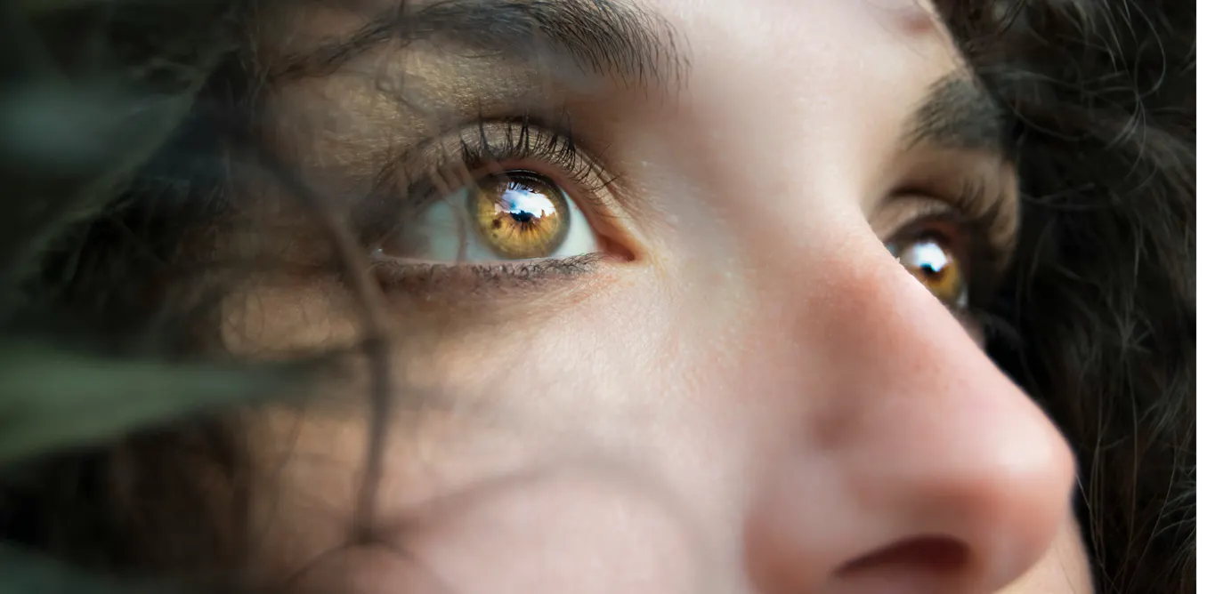 comment la vision a évolué en de multiples facettes comment la vision a évolué en de multiples facettes
