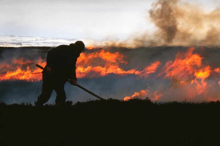 A gamekeeper in silhouette stoking burning heather with a pole.