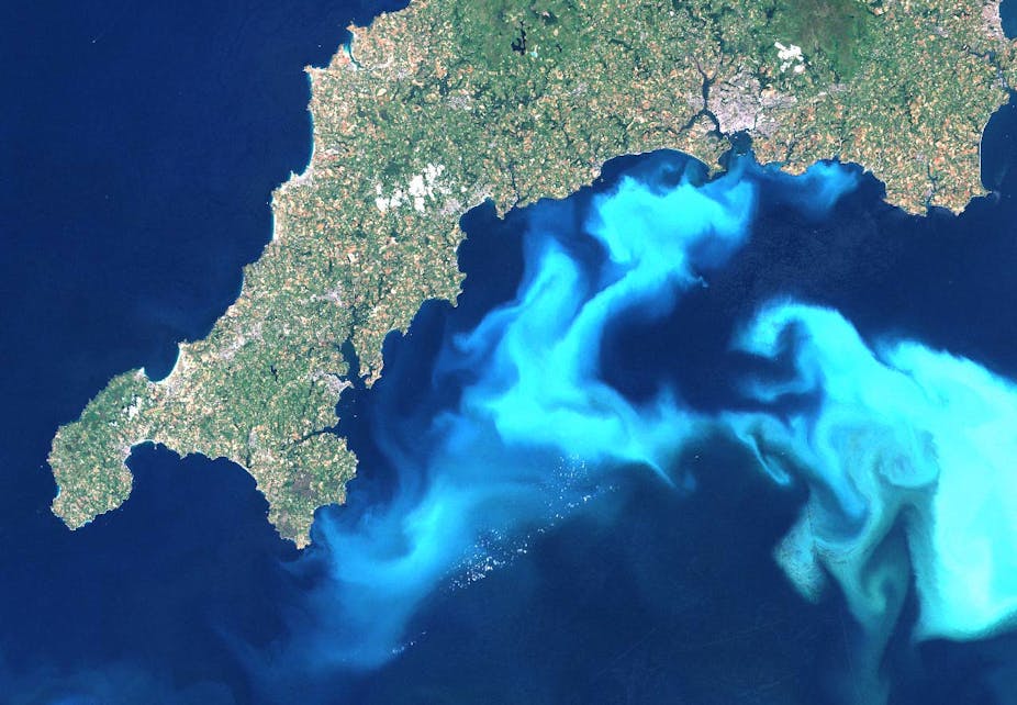 algal blooms from space