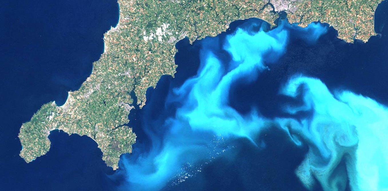 балтийское море из космоса