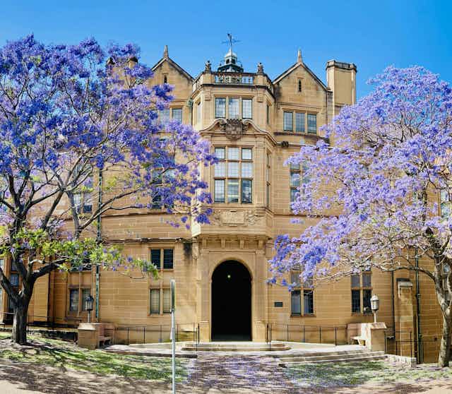A photo of a sandstone building behind blossoming jacaranda trees.