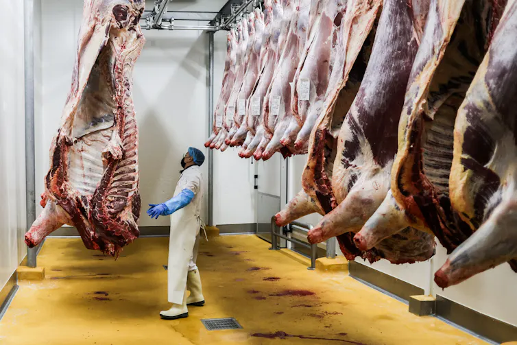 Un employé travaille à côté de carcasses de bœuf suspendues dans un réfrigérateur dans un abattoir à Bègles (Gironde)