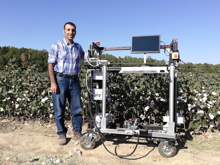 A man stands in front of a cotton field, next to a wheeled machine with a computer screen on top and wires hanging from it.