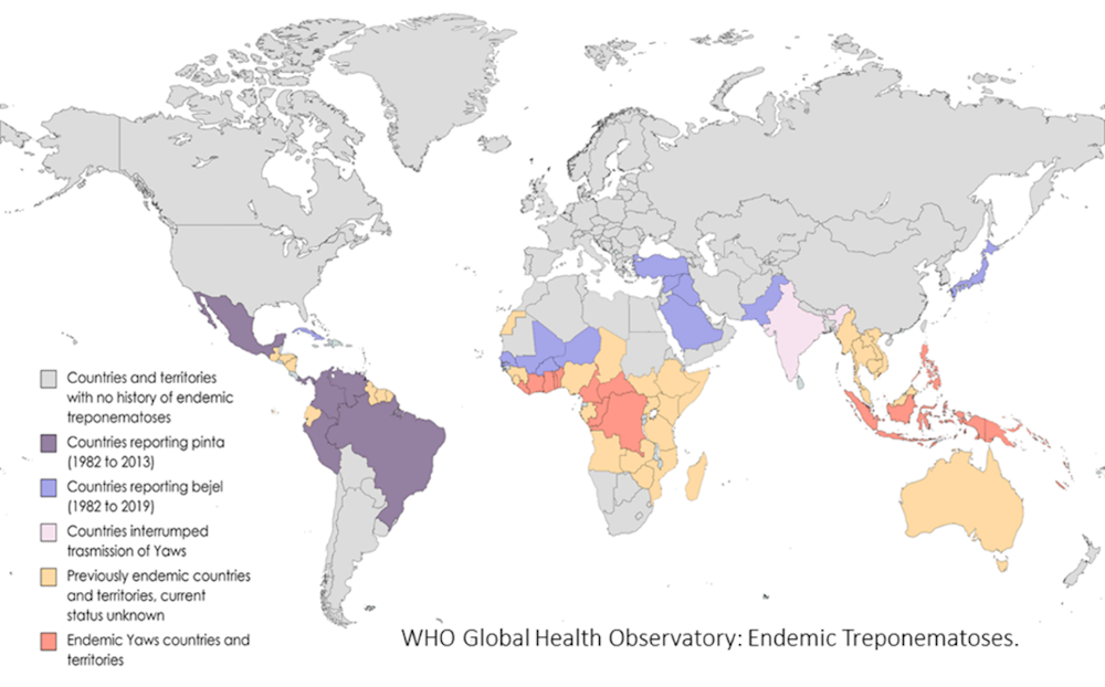 Où, quand et comment la syphilis est-elle apparue ? La réponse est dans ...