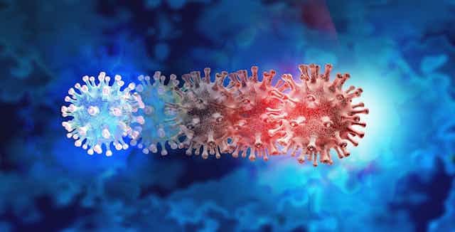 An illustration depicting the evolution of SARS-CoV-2.