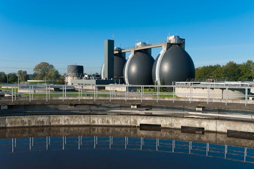 How the weird and wonderful microbes in wastewater can make our cities more sustainable