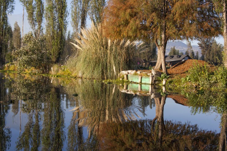 A well-maintained farming island among canals near Mexico City.
