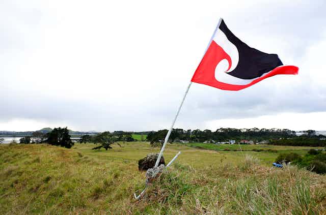 Tino rangatiratanga flag on open ground