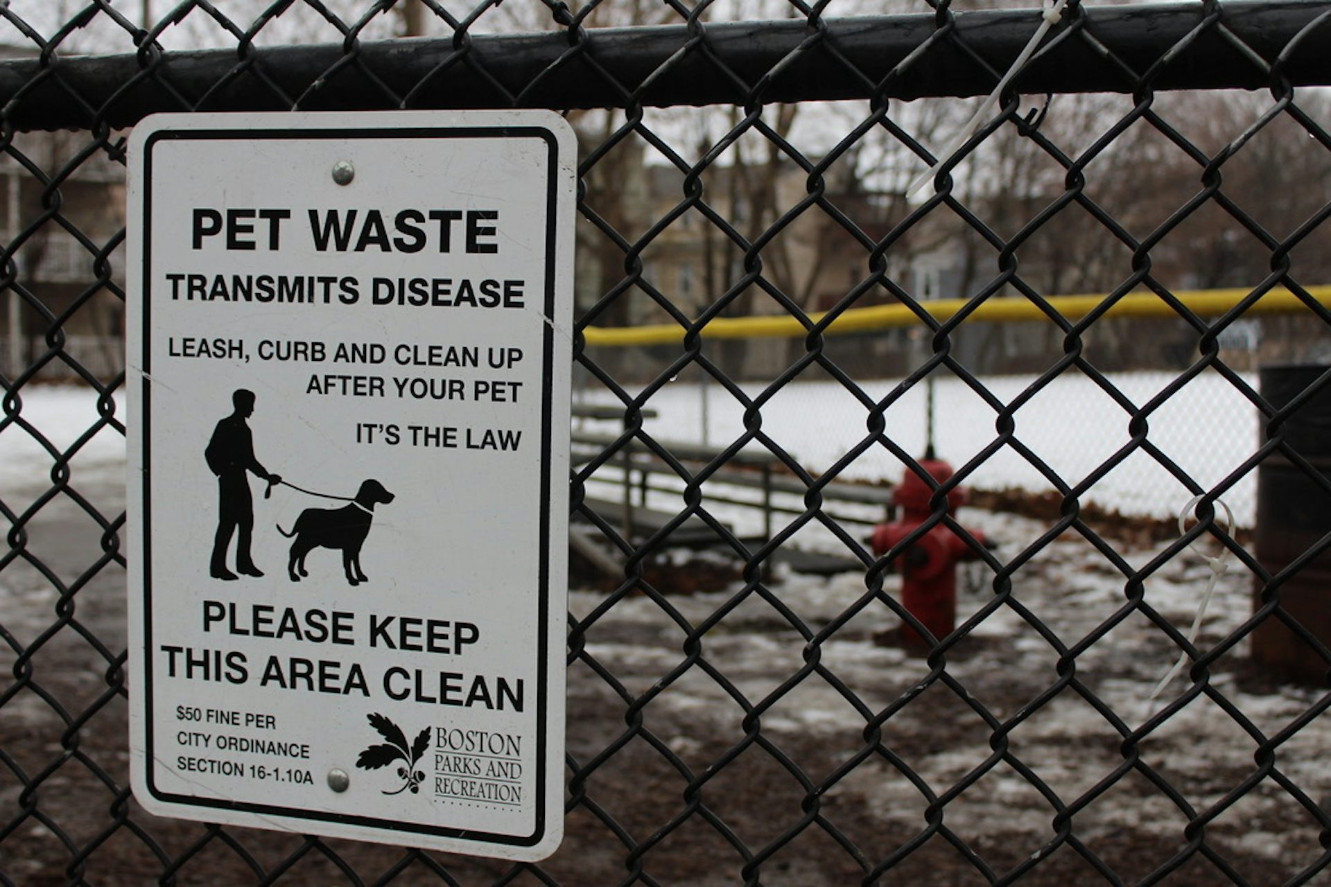 Sandbox for 2024 dogs poop