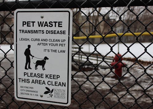 Perils of pet poop – so much more than just unsightly and smelly, it can spread disease