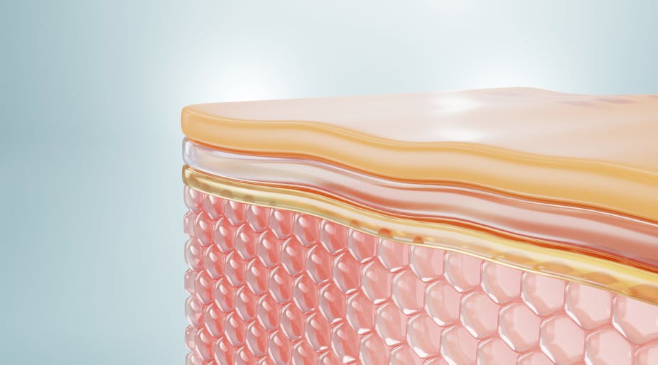 A digital drawing of the layers that make up our skin.