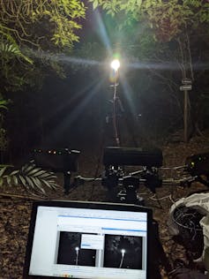 Several cameras face a bright light on a stand in a forest setting at night.