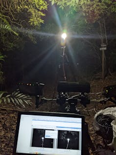 Varias cámaras en un entorno forestal por la noche.