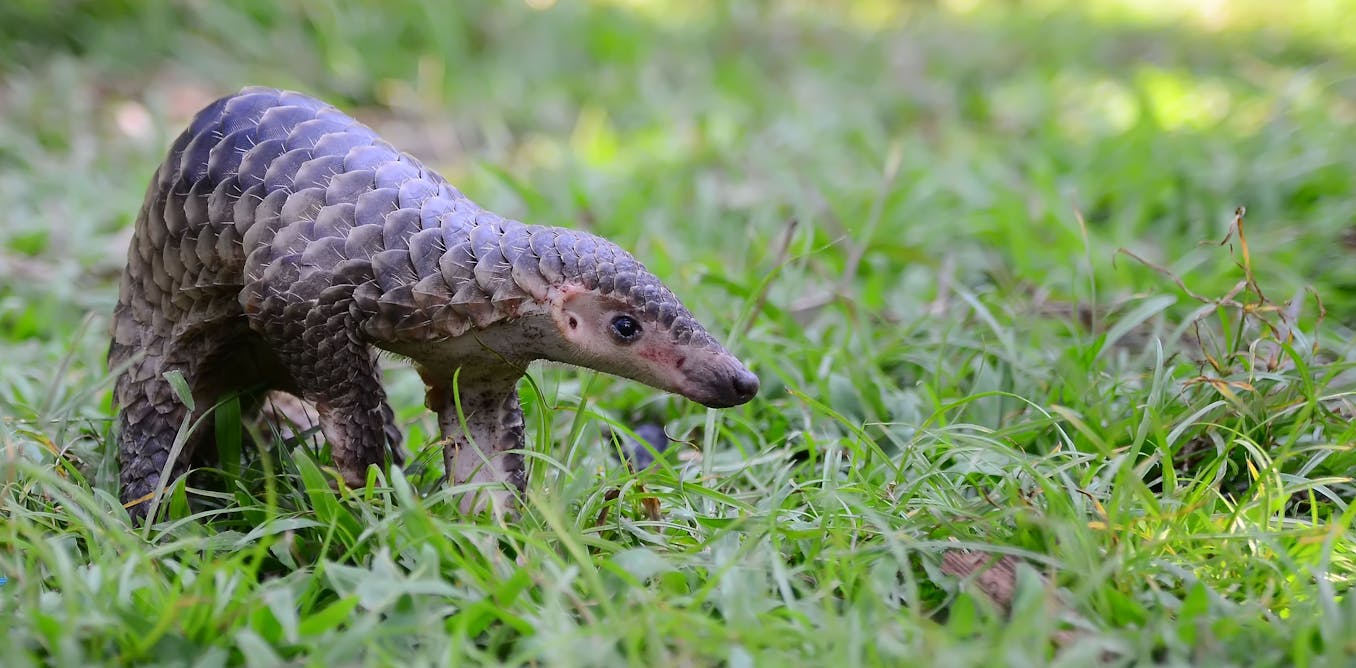 file-20240129-17-2mh8ew.jpg?ixlib=rb-1.1.0&rect=0%2C0%2C3730%2C1862&q=45&auto=format&w=1356&h=668&fit=crop