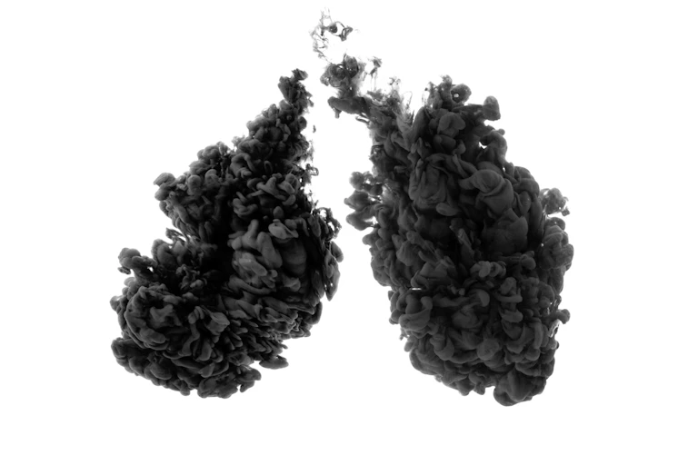 Lung-shaped smoggy clouds