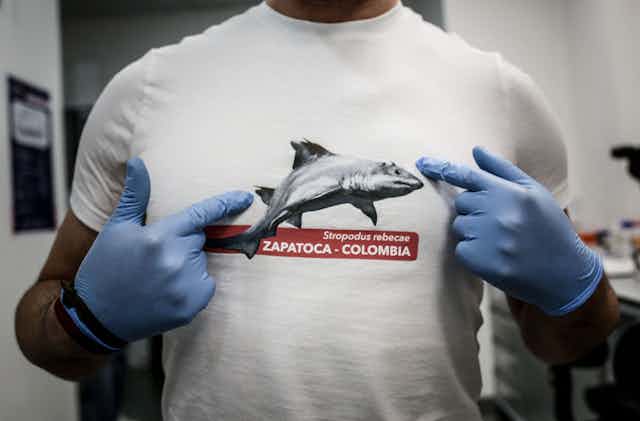 A man wearing lab gloves points to a shark image on his shirt