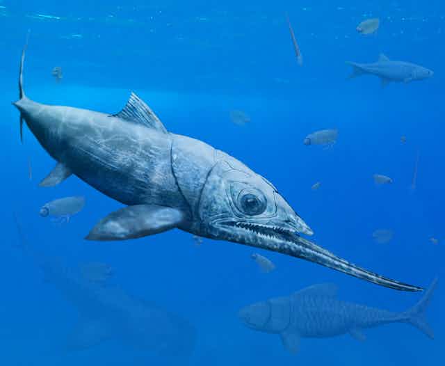 a prehistoric fish with an elongated lower jaw swims in blue water