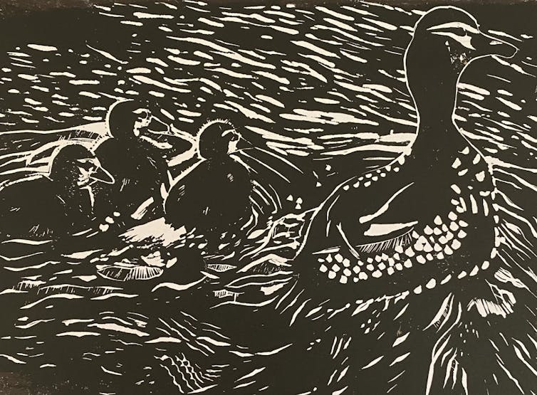 Artwork showing a family of Yumburra (black duck) swimming together, mother and three ducklings