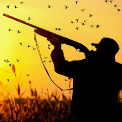 research paper topics about hunting