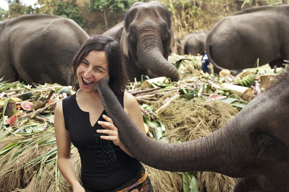 Woman laughs as an elephant puts the tip of its trunk to her cheek.