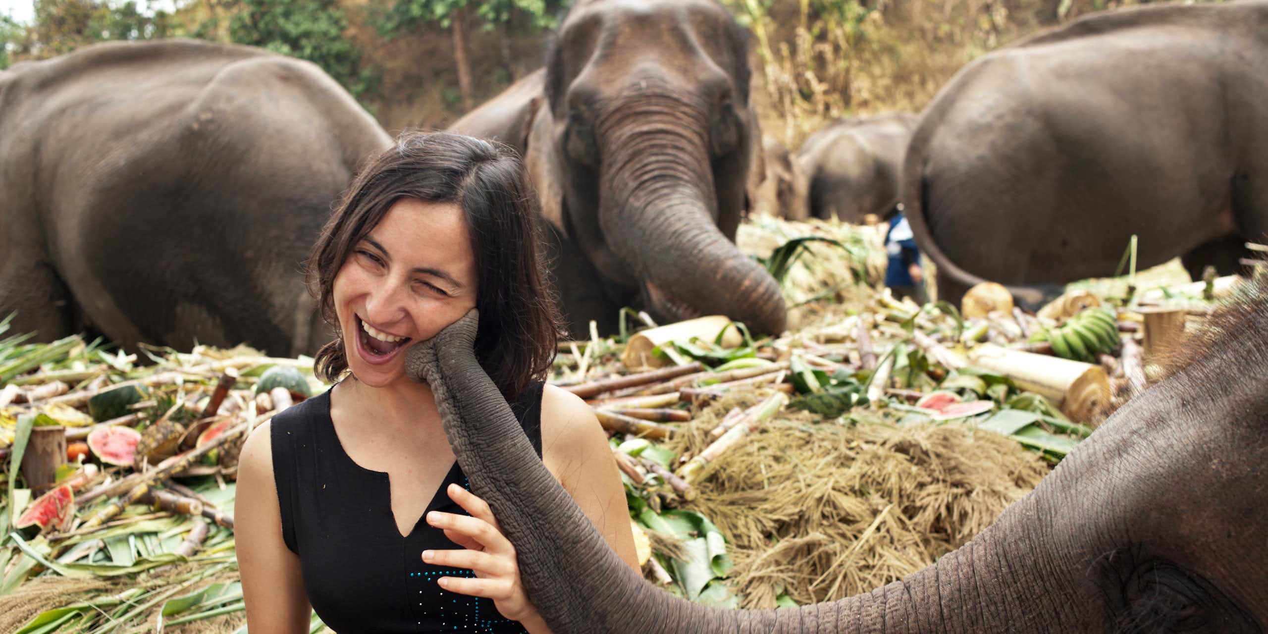 Woman laughs as an elephant puts the tip of its trunk to her cheek.