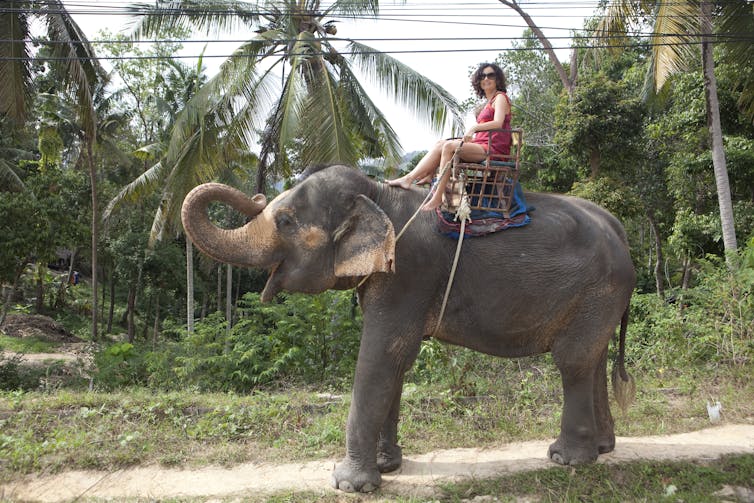 A woman in a red dress and dark sun glasses riding an elephant.