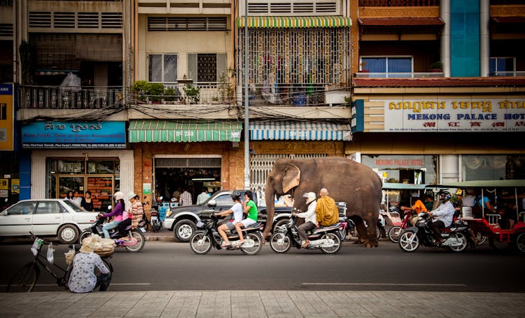 A large elephant walks on a street, crowded with cars, motorbikes and street vendors.
