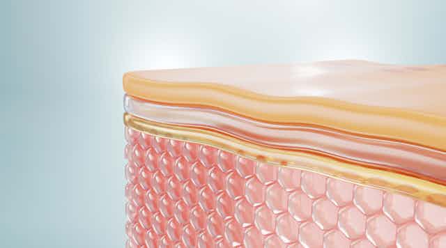 Schéma des couches qui composent notre peau.