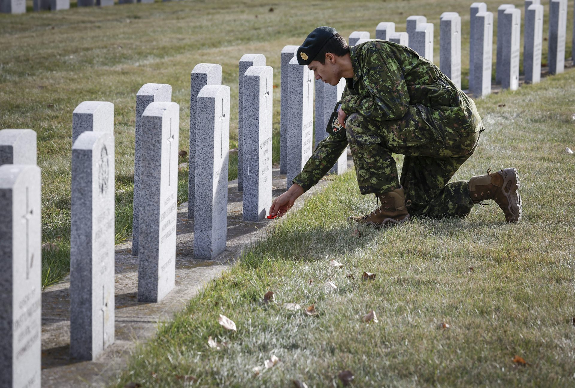 A man wearing camouflage kneels at a row of white gravestones and places a poppy at the foot of one of them.