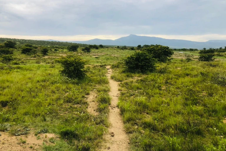 Landscape with grass, shrubs, a sandy path, hills in the background.