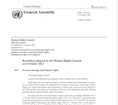 Text of UN resolution 51/3