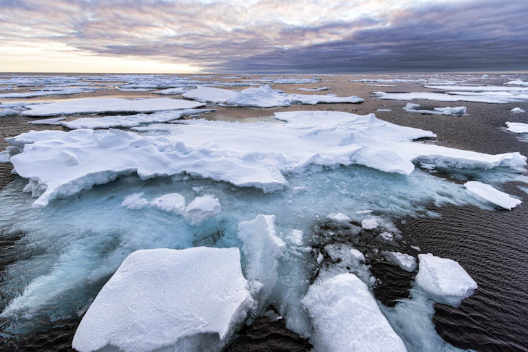 Icebergs floating in the ocean