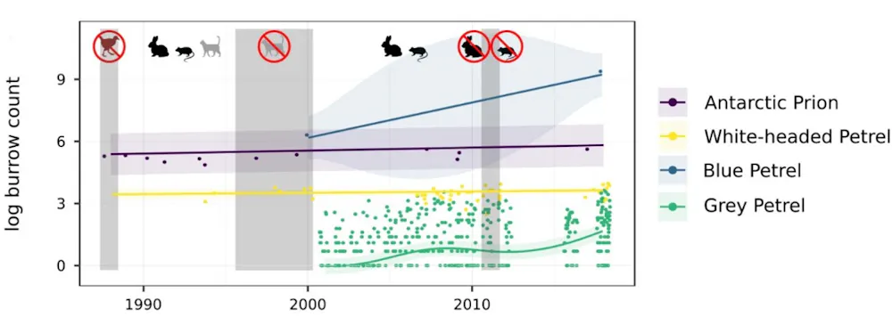 Pests Graph Rabbits Ridding Macquarie Island of pests pays off as seabirds come back from ...