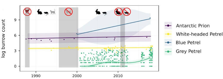 a graph showing changes in the populations of 4 petrel species as pests were eliminated