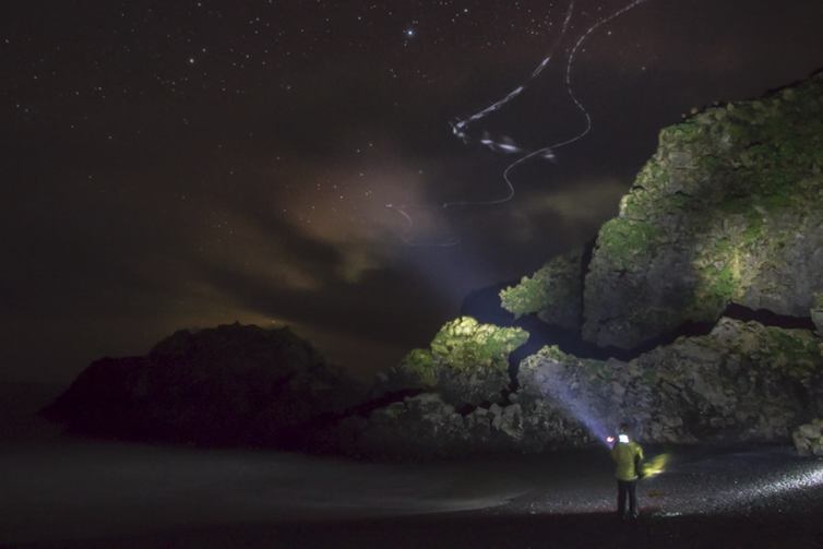 A researcher surveying by torchlight