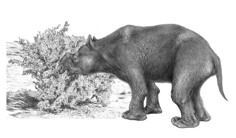diprotodon eating plants
