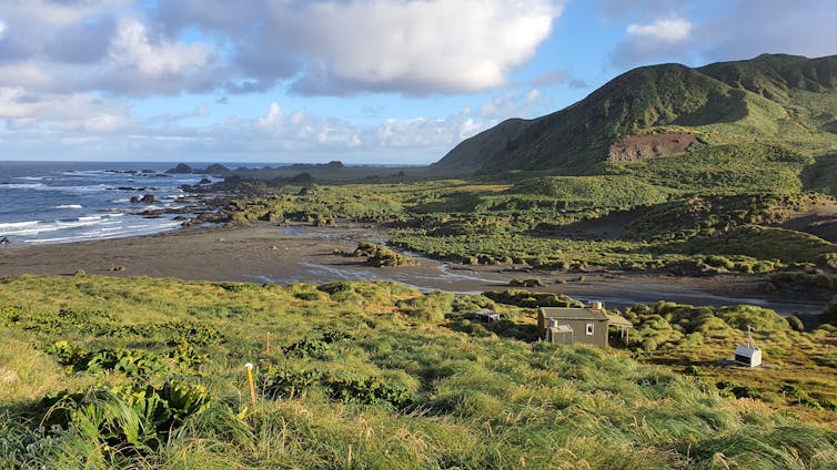 A field research hut on Macquarie Island