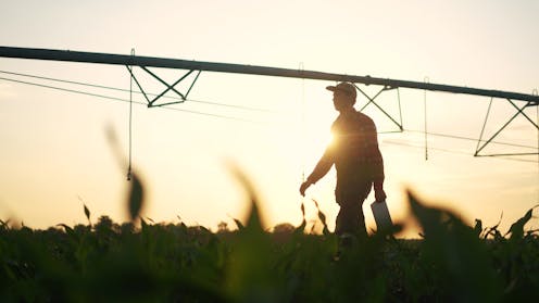 Consulting firms provided low-quality research on crucial water policies. It shows we have a deeper problem