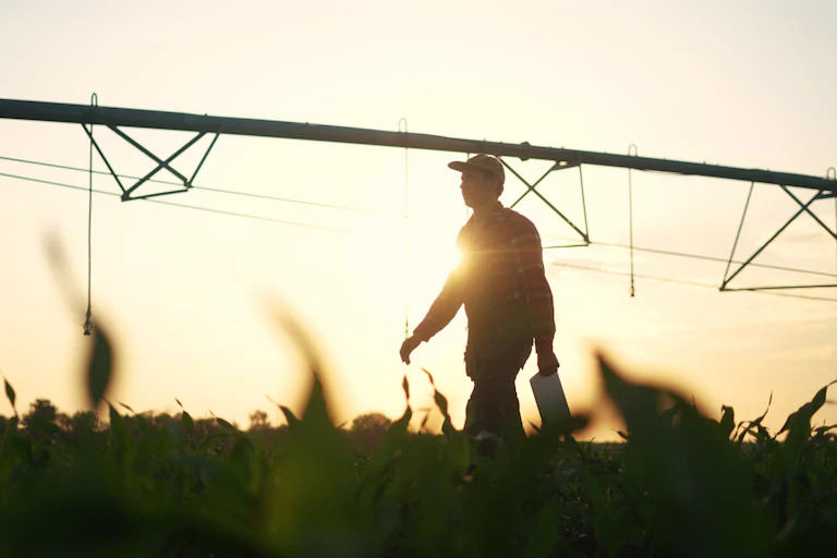 Silhouette of a farmer walking through an irrigated crop with the boom sprayer in the background.