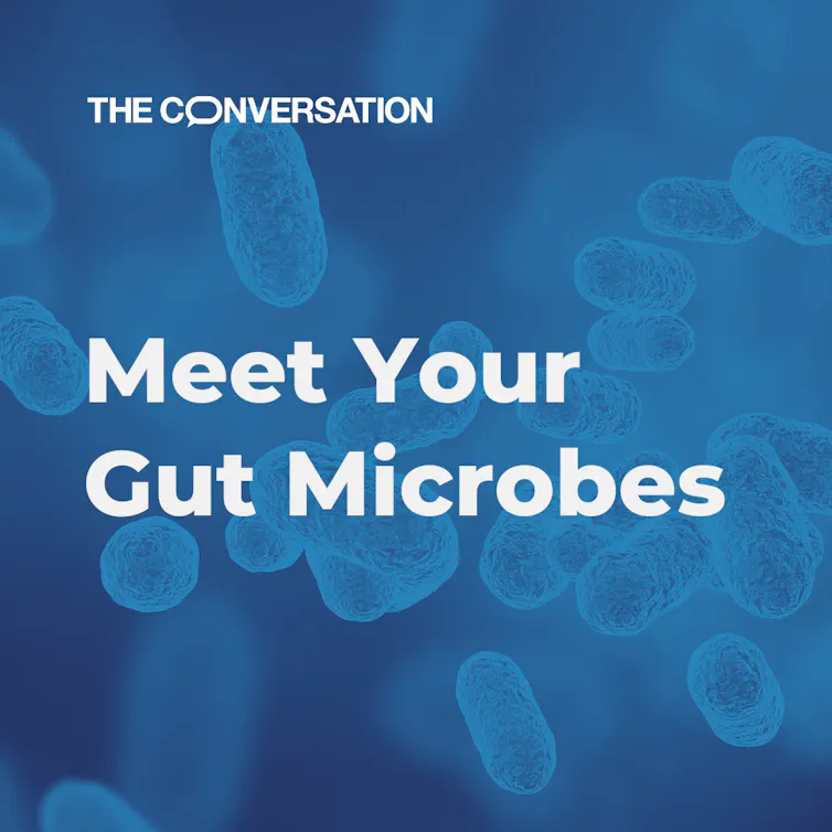 Gut microbiome: meet Ruminococcus gnavus – the bacteria with a sweet tooth