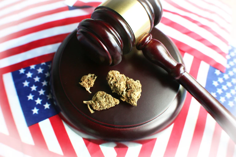 A few buds of marijuana sit on a sound block next to a judge's gavel. American flags are in the background.