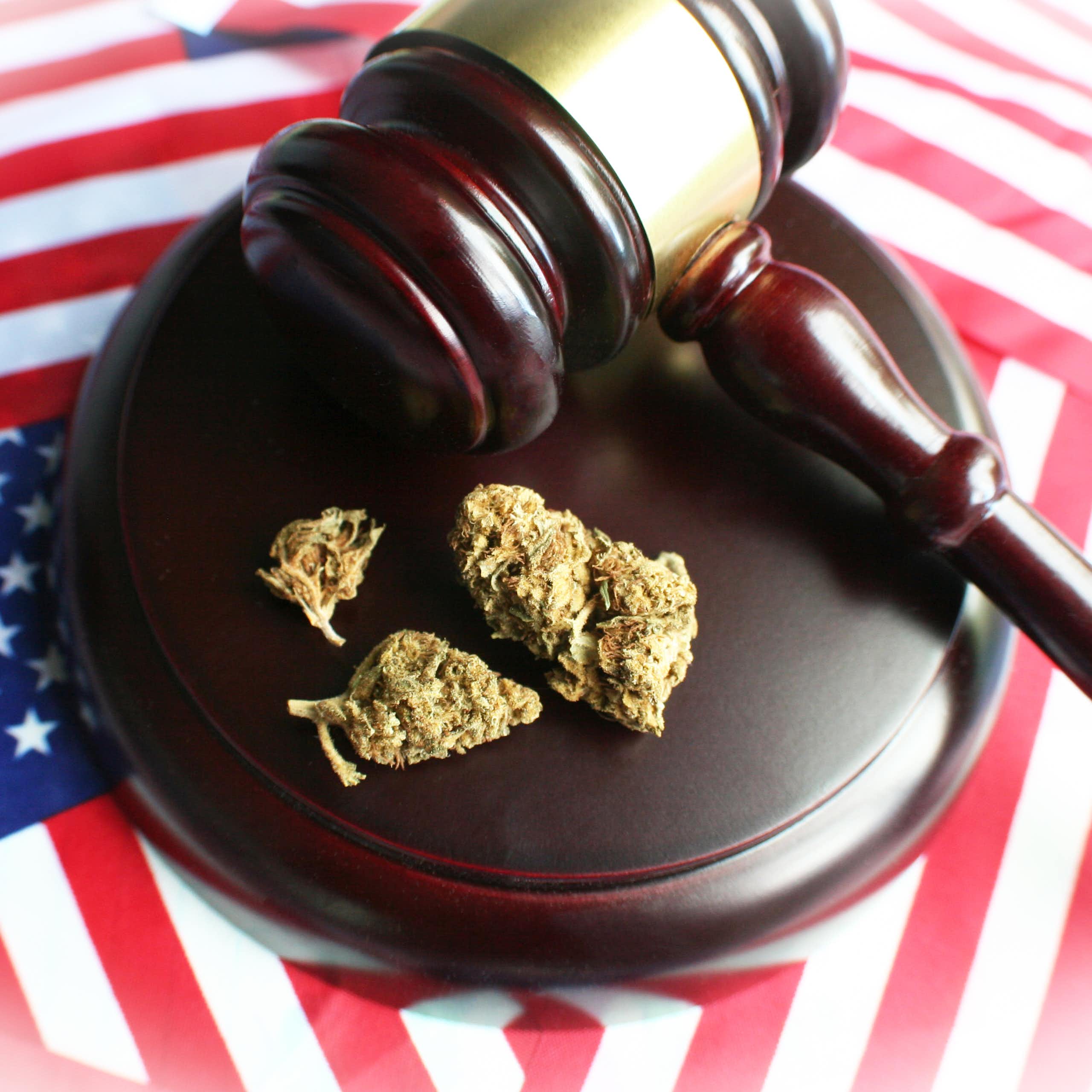 A few buds of marijuana sit on a sound block next to a judge's gavel. American flags are in the background.